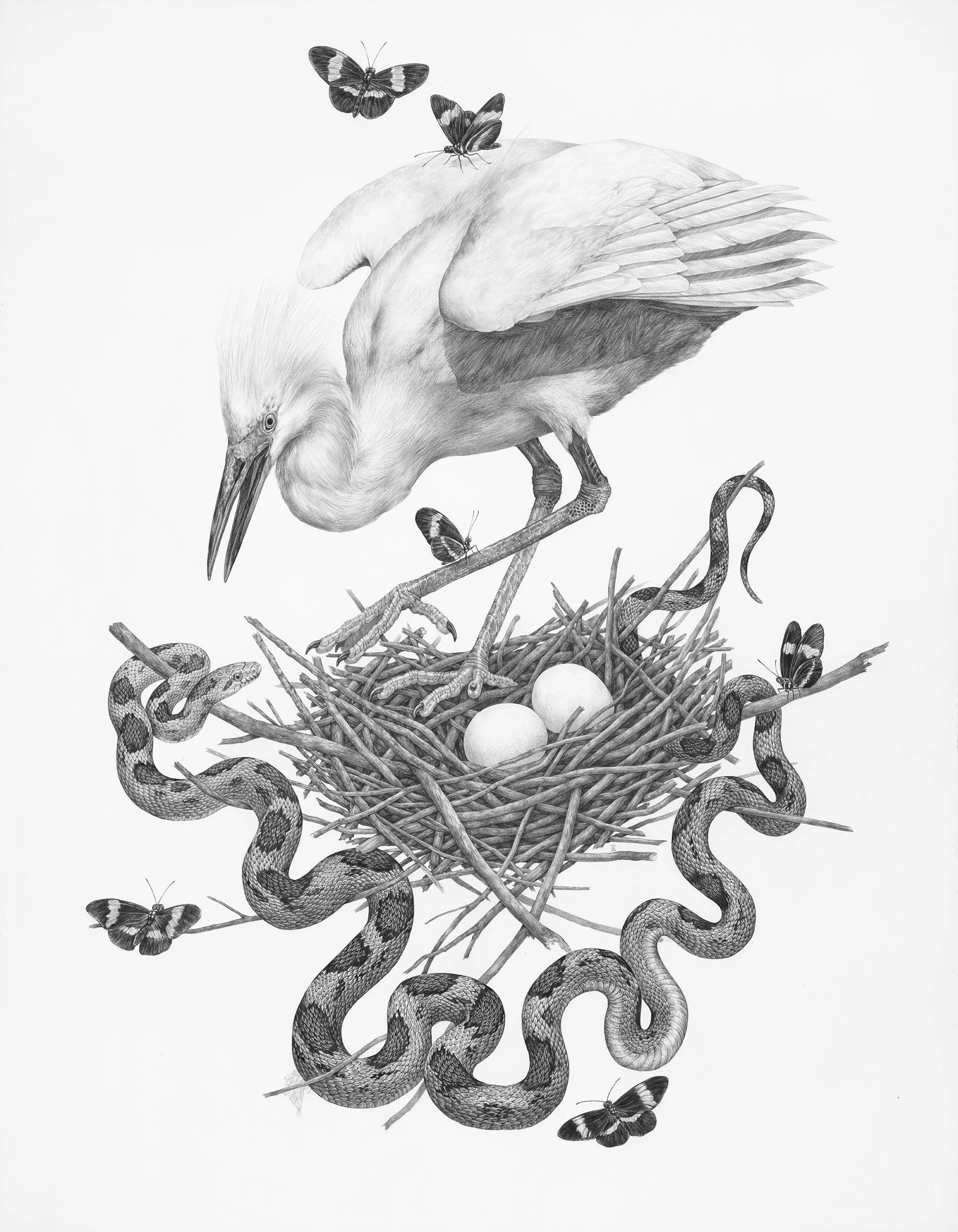 Shop Partner Galleries — Zoe Keller Nature Art